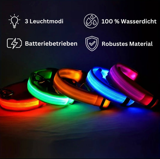 NightGlow LED Hundehalsband