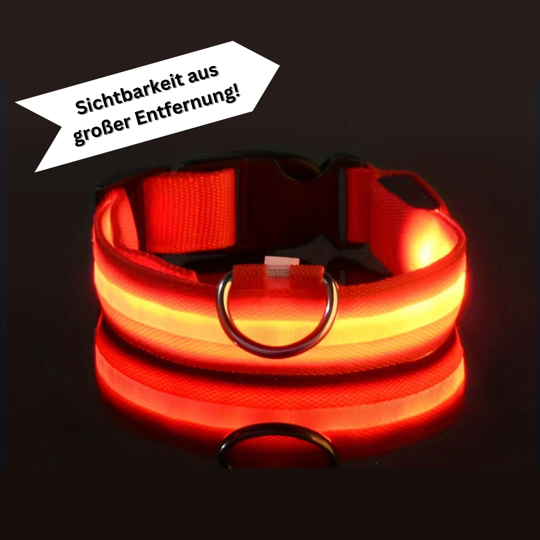 NightGlow LED Hundehalsband