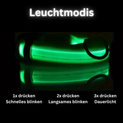 NightGlow LED Hundehalsband