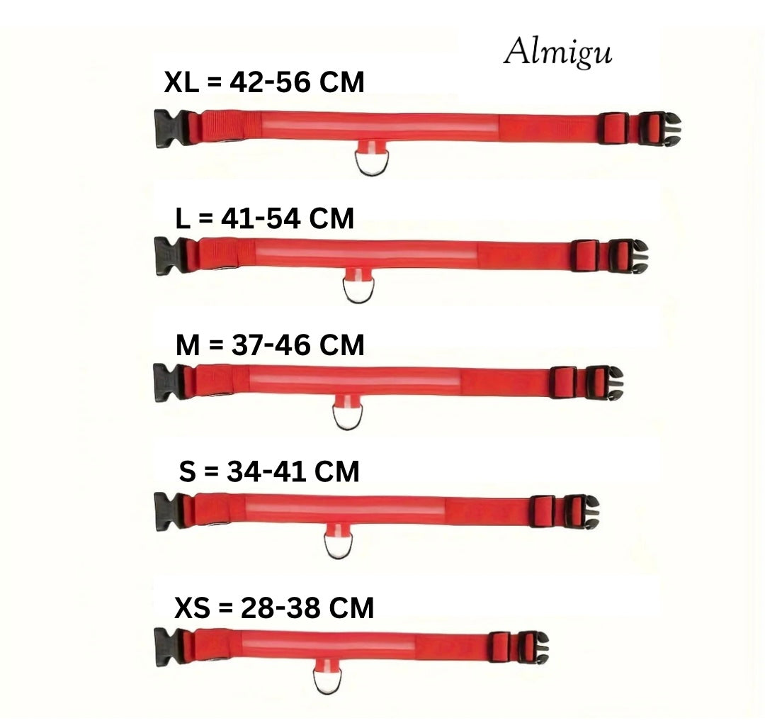 NightGlow LED Hundehalsband